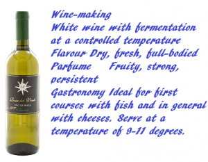 white-chardonnay